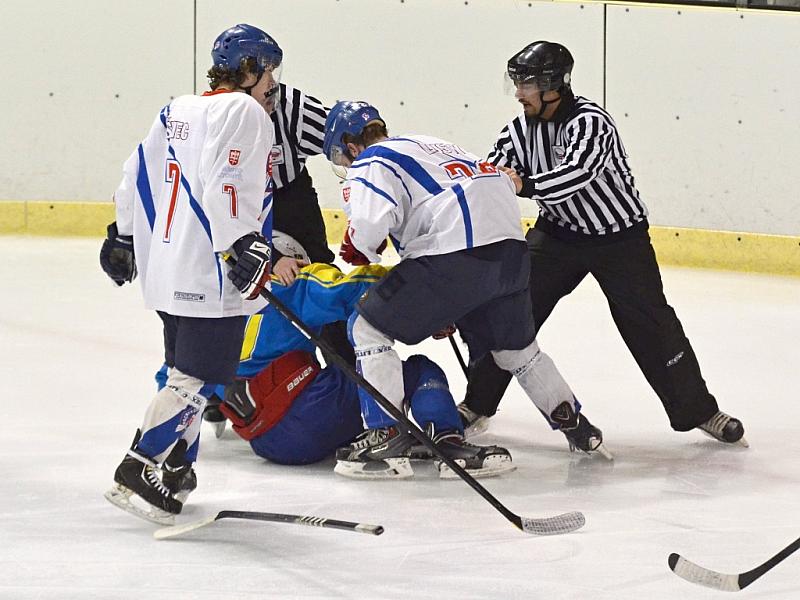 hokej lit skutec 150215 18