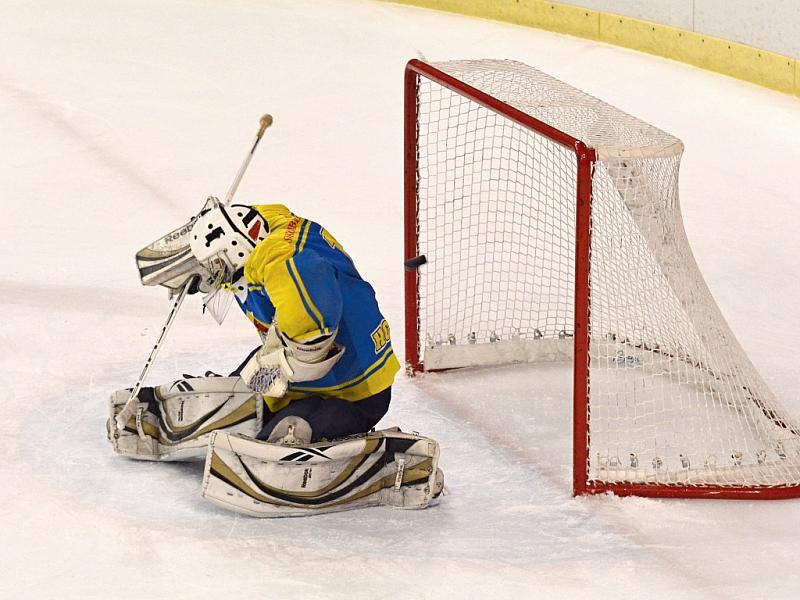 hokej lit skutec 150215 9