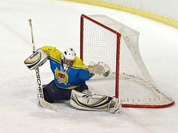 hokej lit skutec 150215 8